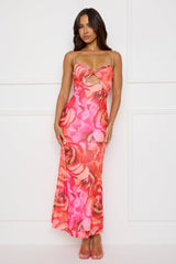 Seleneia Mesh Maxi Dress Pink